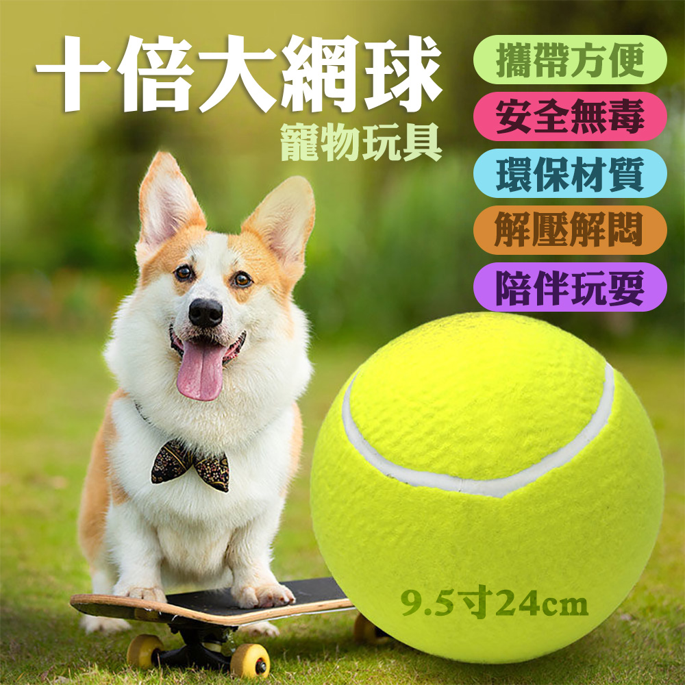 【CS22】9.5寸充氣大網球寵物玩具球